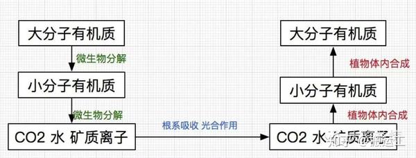 作物缺碳这样补 你知道吗 知乎