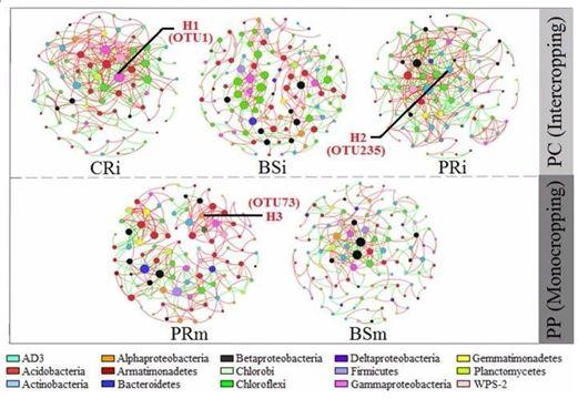 客户文章| Microbiome:木薯花生间作重建根际微生物群落 - 知乎