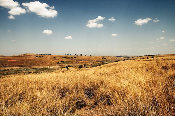 无复杂的出国手续|免签或落地签国家旅游推荐