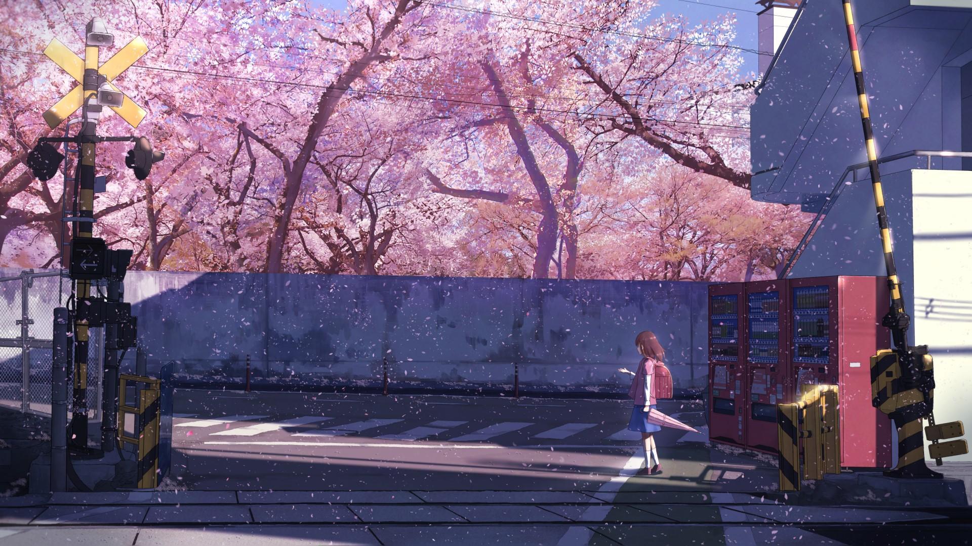 wallpaperengine壁纸推荐思念一个人的时候对方会感觉到吗