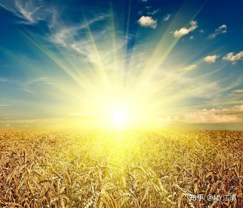 陽光灑落訓練場濃眉揮汗如雨展現頂級內線風采