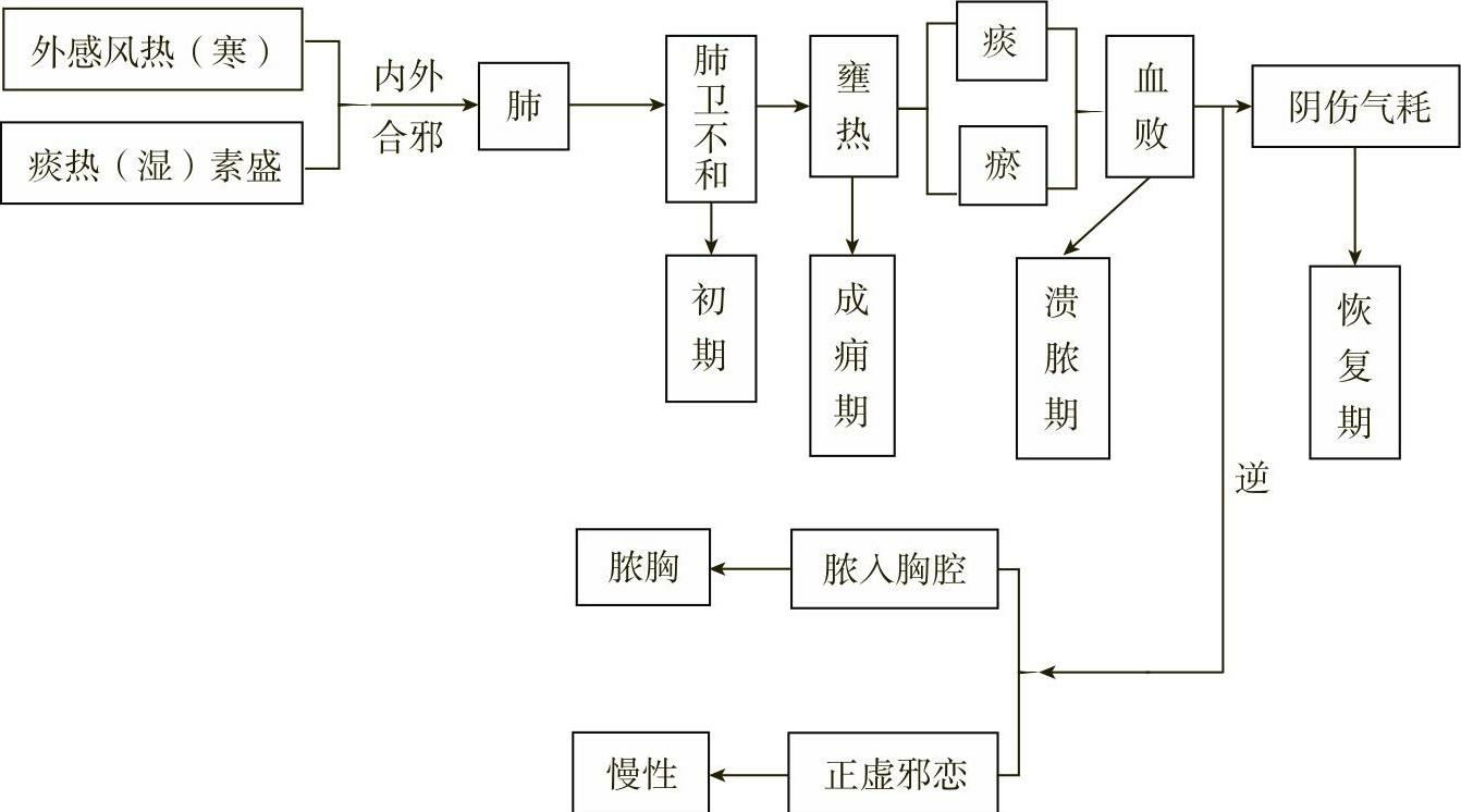 中医内科学总结(4)——肺痈、肺痨 - 知乎