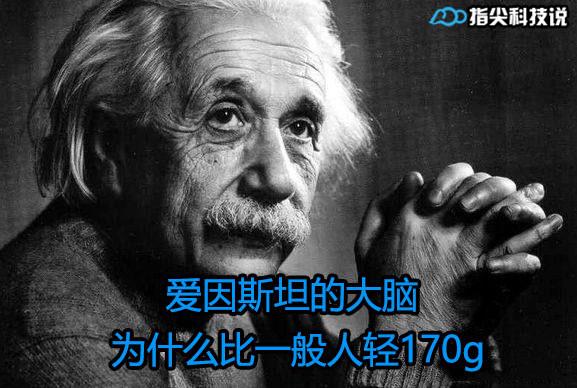 爱因斯坦的大脑为什么会比一般人小170g却更聪明 知乎
