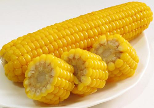 v2-e1d6c22814aa214c02967d04727d27c9_r.jpg