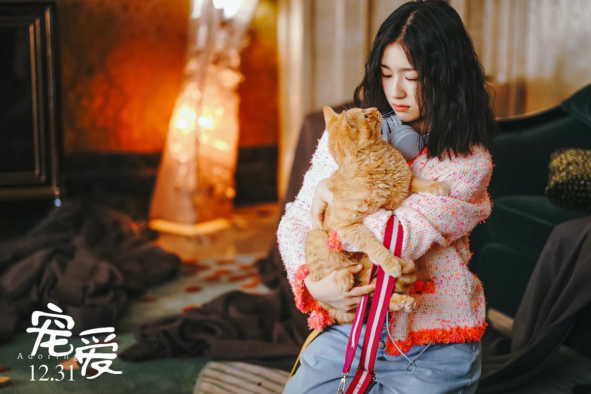 《宠爱》:相比人类的多情,动物的情感是何其的炽热和专一