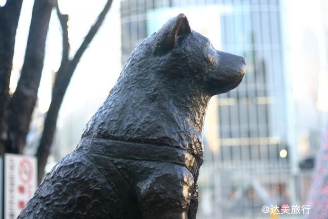 东京自由行最省心的交通工具来了银座涩谷上野秋叶原全搞定