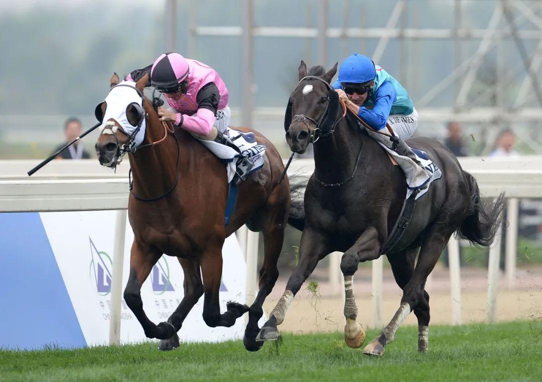 "速度赛马元年"来了?