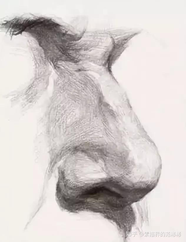 v2-e1fc7b05543aeee641646b6e1c0186e3_r.jpg