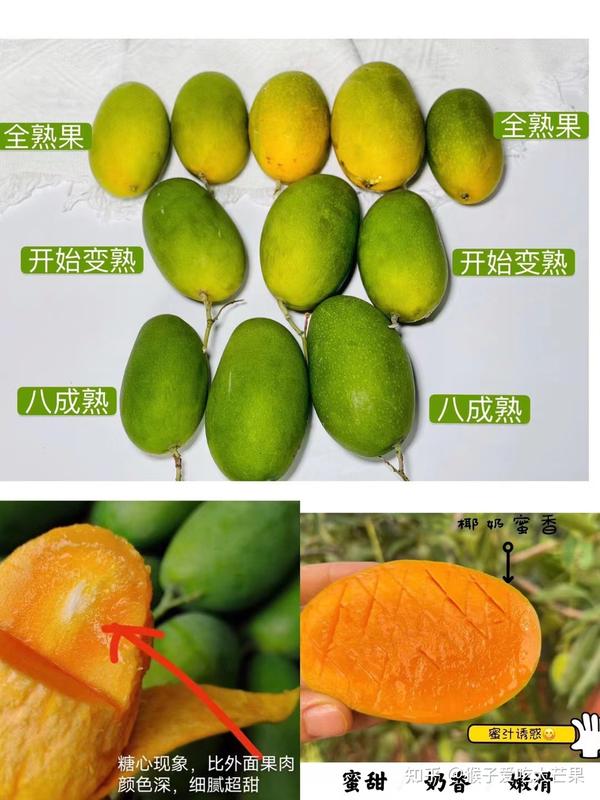 攀枝花芒果你最喜欢的是哪一个品种 - 知乎