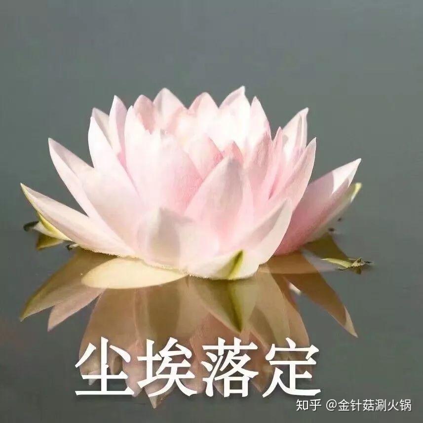 爸爸对我的网名头像发起了进攻家长中意的到底是什么样的