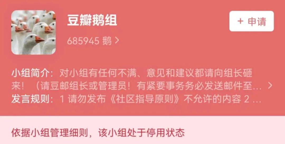 他们担心豆瓣有一天消失,并开始未雨绸缪寻找下一个"精神栖息地"