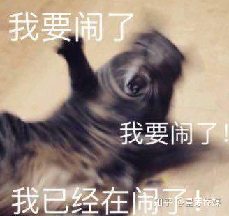 刺激战场还会回来吗