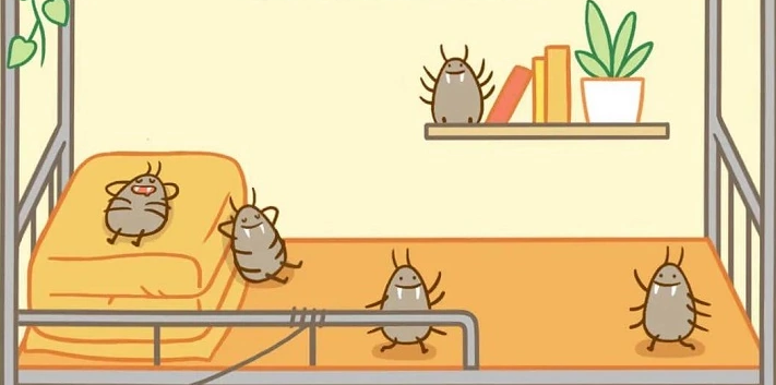 一天不晒被百万螨虫陪你睡尘螨过敏不容忽视