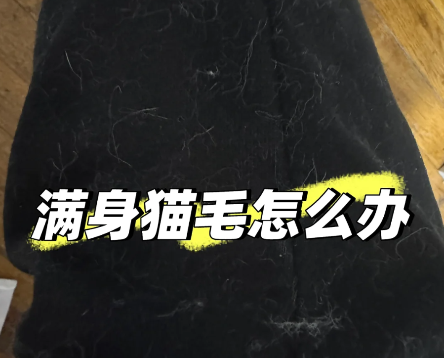 追觅Z20 Station旋锋版|养宠人实测一个月:它把吸尘器从“废柴”变成了“真香”