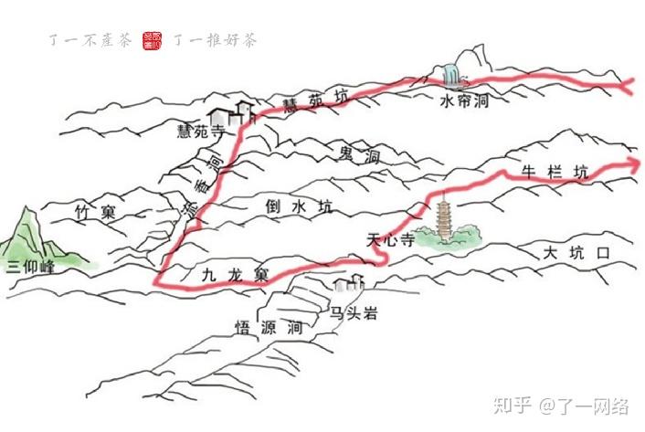 武夷山正岩山场,分不清?一分钟教会你