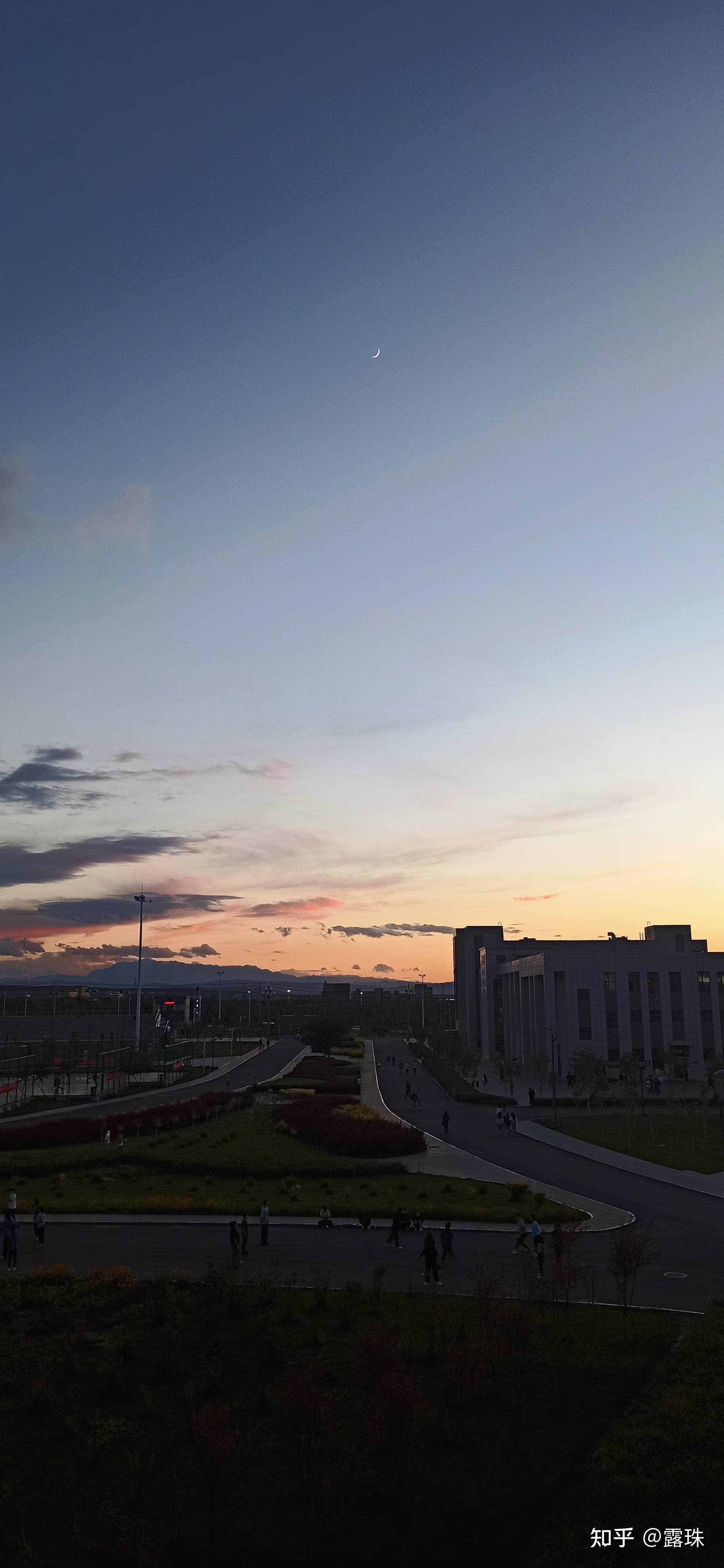 新疆农业大学风景图片