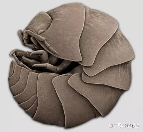 超好用mac解压软件