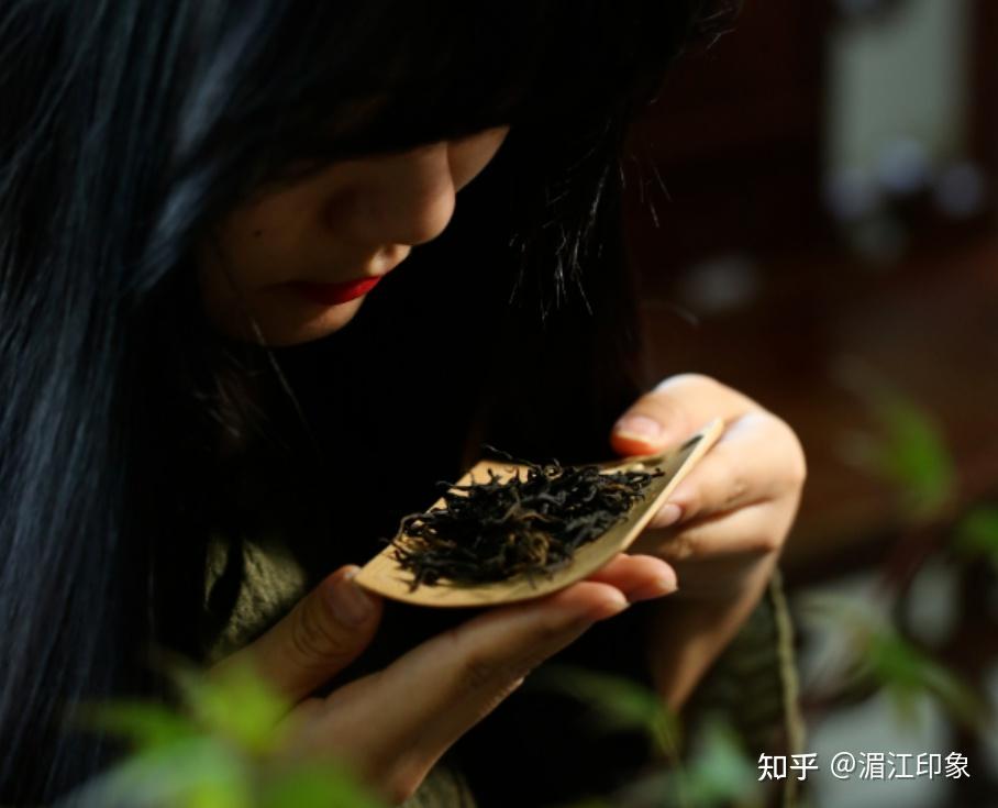 闻茶香的