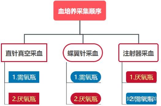 案例解析血培养抽了那么多80的护士都抽错了