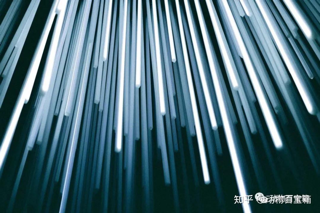 光年有多远?光走1光年,真要1年的时间?光:只要一瞬间 - 知乎