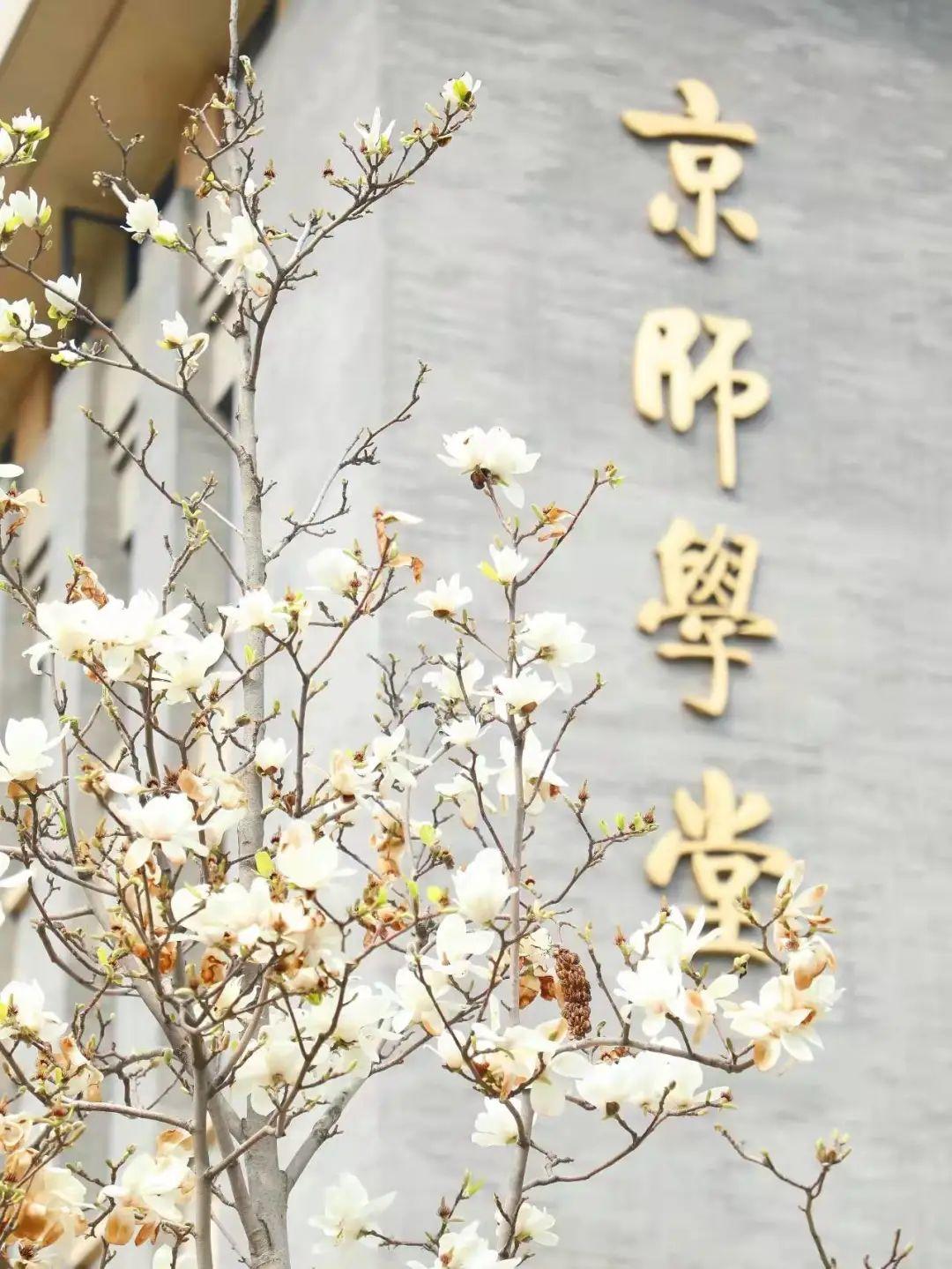 心理学 | 中国高校的第一个心理学院——北京师范大学 - 知乎