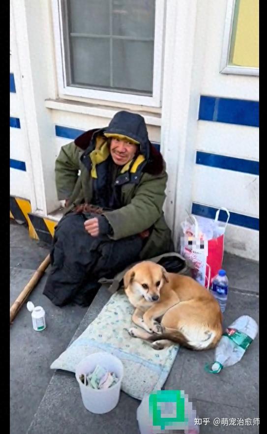 流浪汉养了只狗，有人摸狗时他下意识捂住嘴：我的狗不是流浪狗！ - 知乎