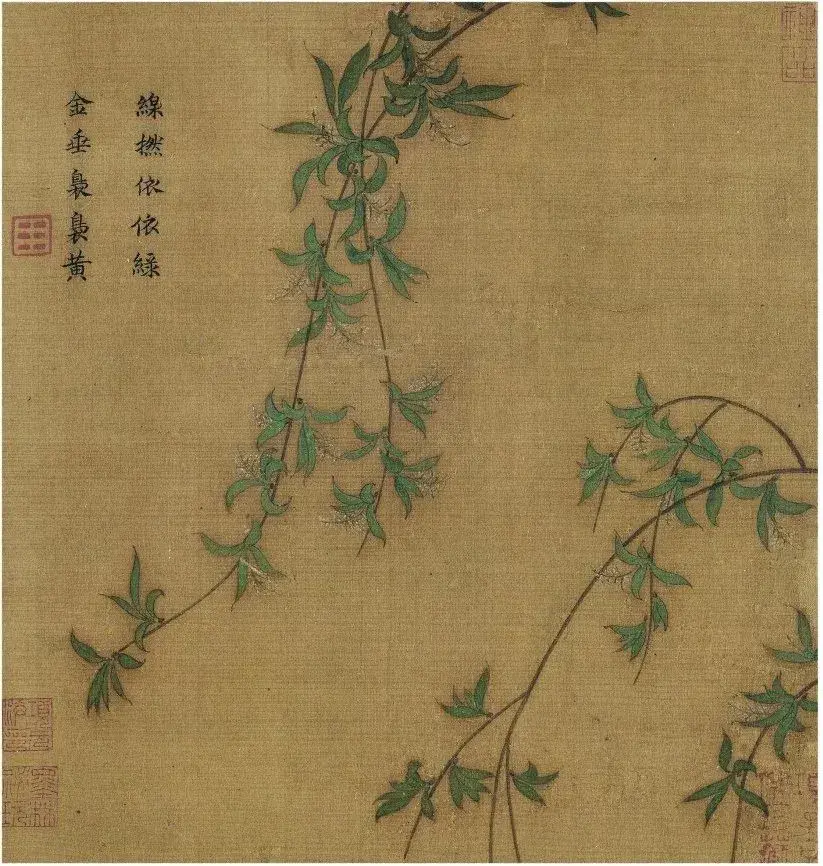 折枝花鸟画随想 - 知乎
