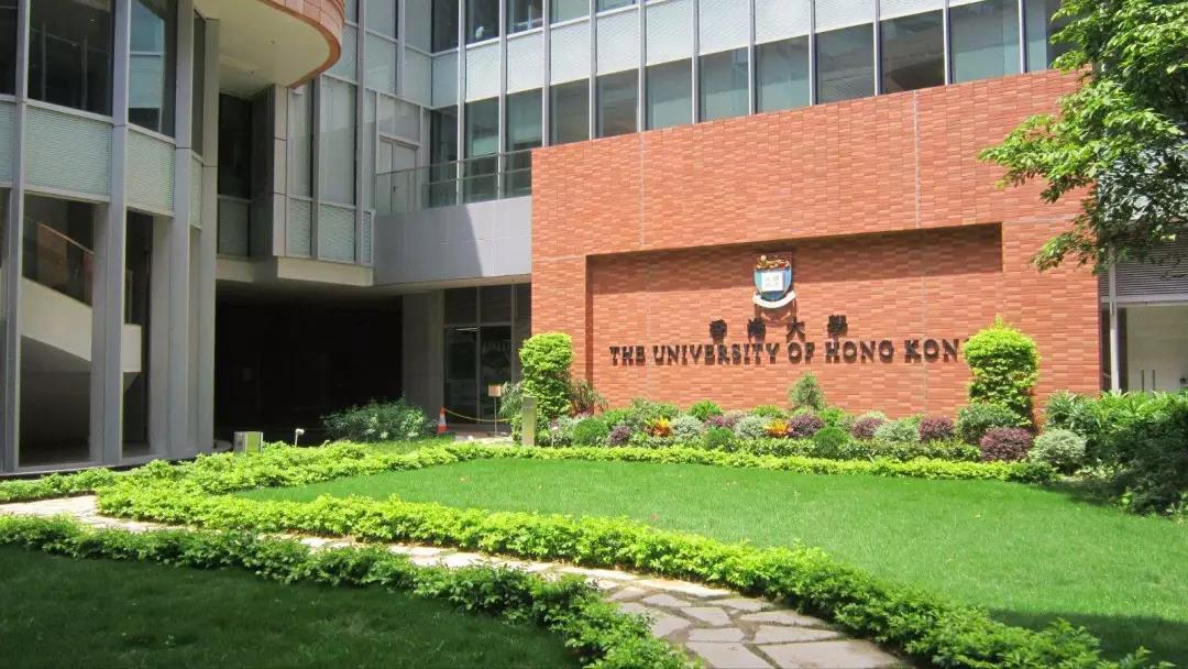 香港大學theuniversityofhongkong推薦信需要包括什麼內容