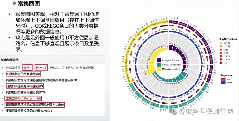 【联川沧海】富集分析ORA（通用富集分析）、FCS（GSEA、ssGSEA、GSVA）一网打尽 - 知乎