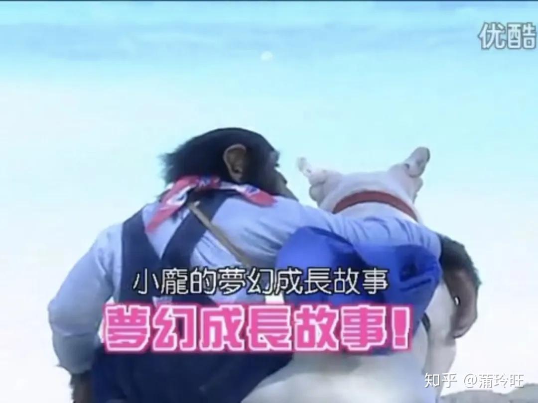 狗狗猩猩大冒险詹姆士小庞和园长