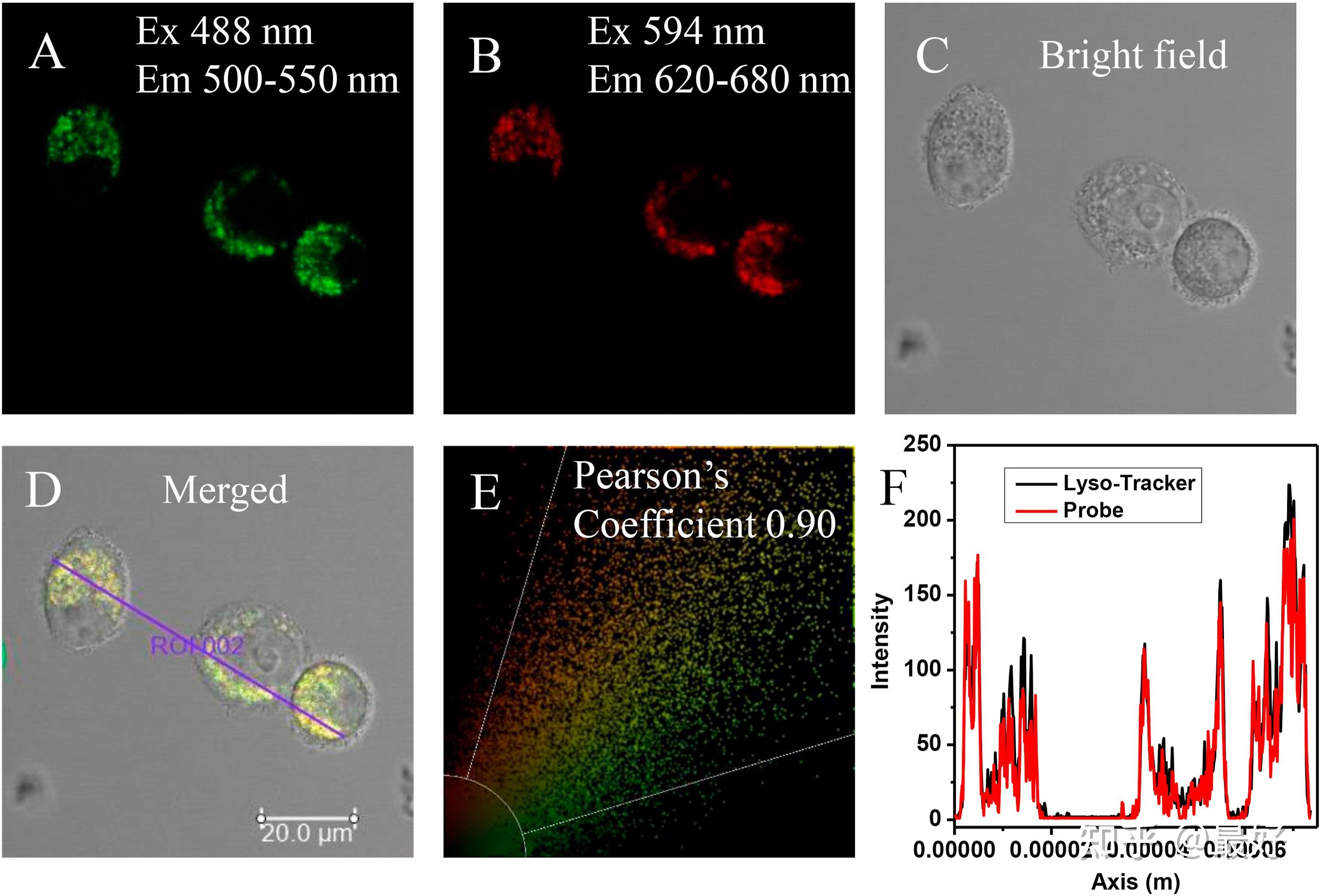 实时检测溶酶体ph的变化的荧光探针