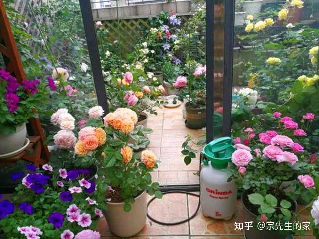 不听劝,买下二楼带露台的房子养花,入住一年后,肠子都悔青了 - 知乎