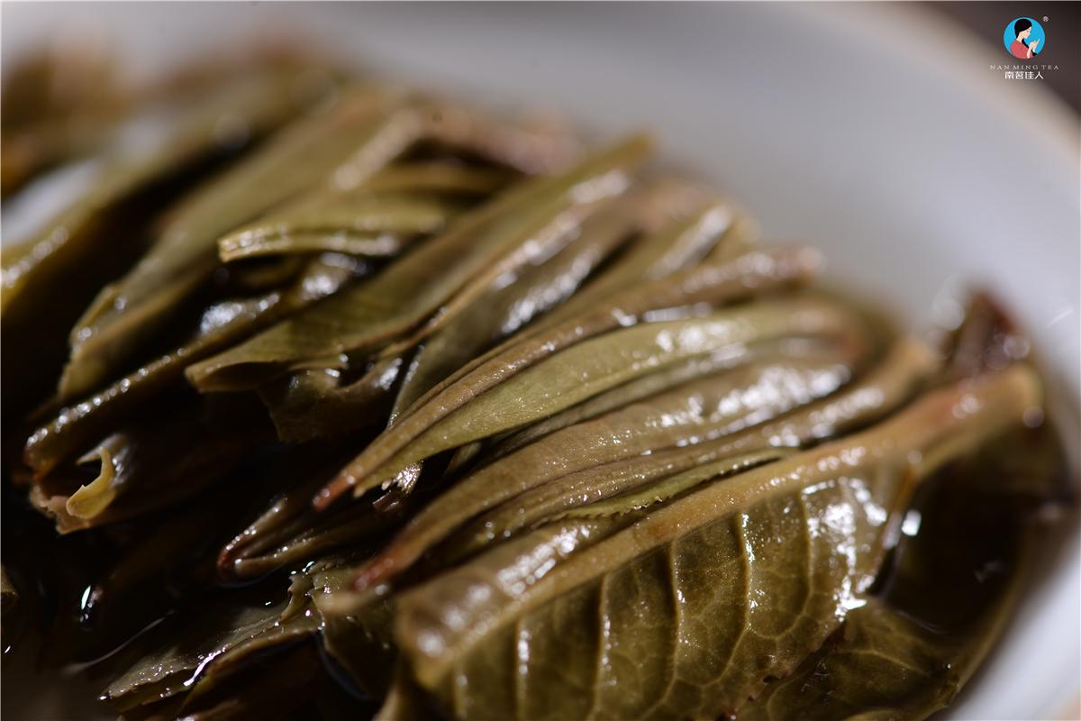 如何通过普洱茶叶底来辨别是不是好茶