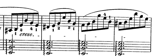 课程乐理知识讲重点第八课织体