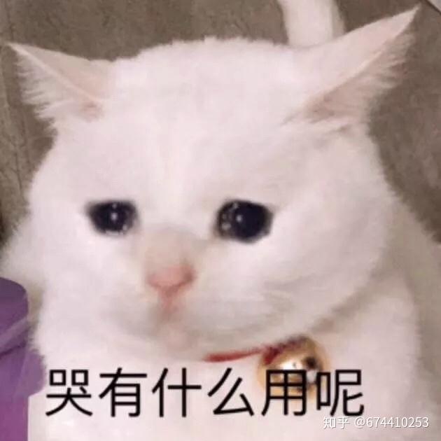 v2-e294993d71b6b80e0901e1c6b5c3aacf_r.jpg