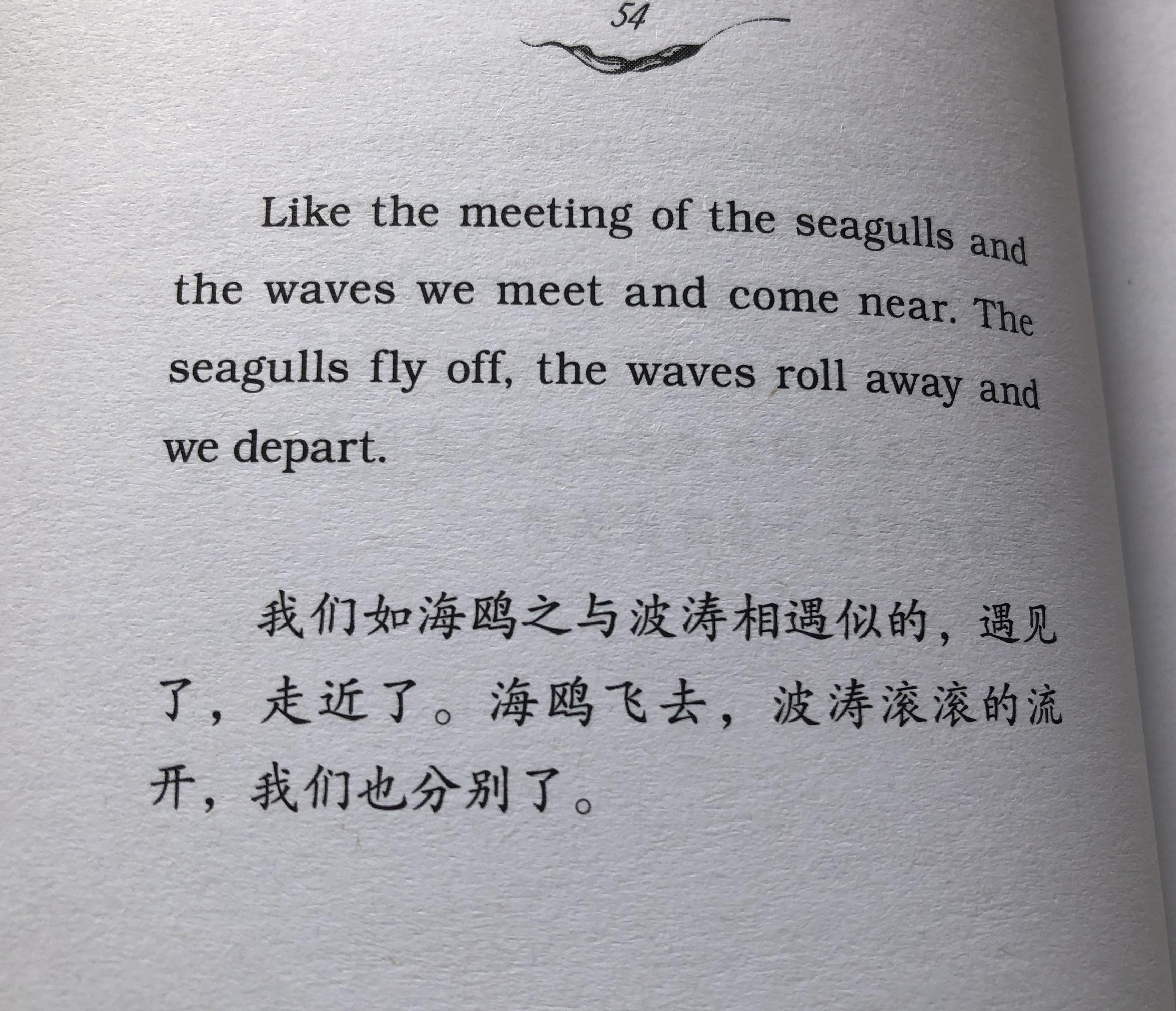 7飞鸟集泰戈尔我不过是一朵花