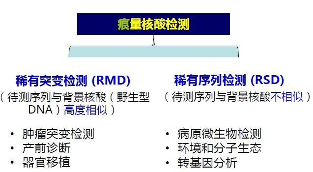 核酸检测能创造gdp吗_核酸检测图片(3)