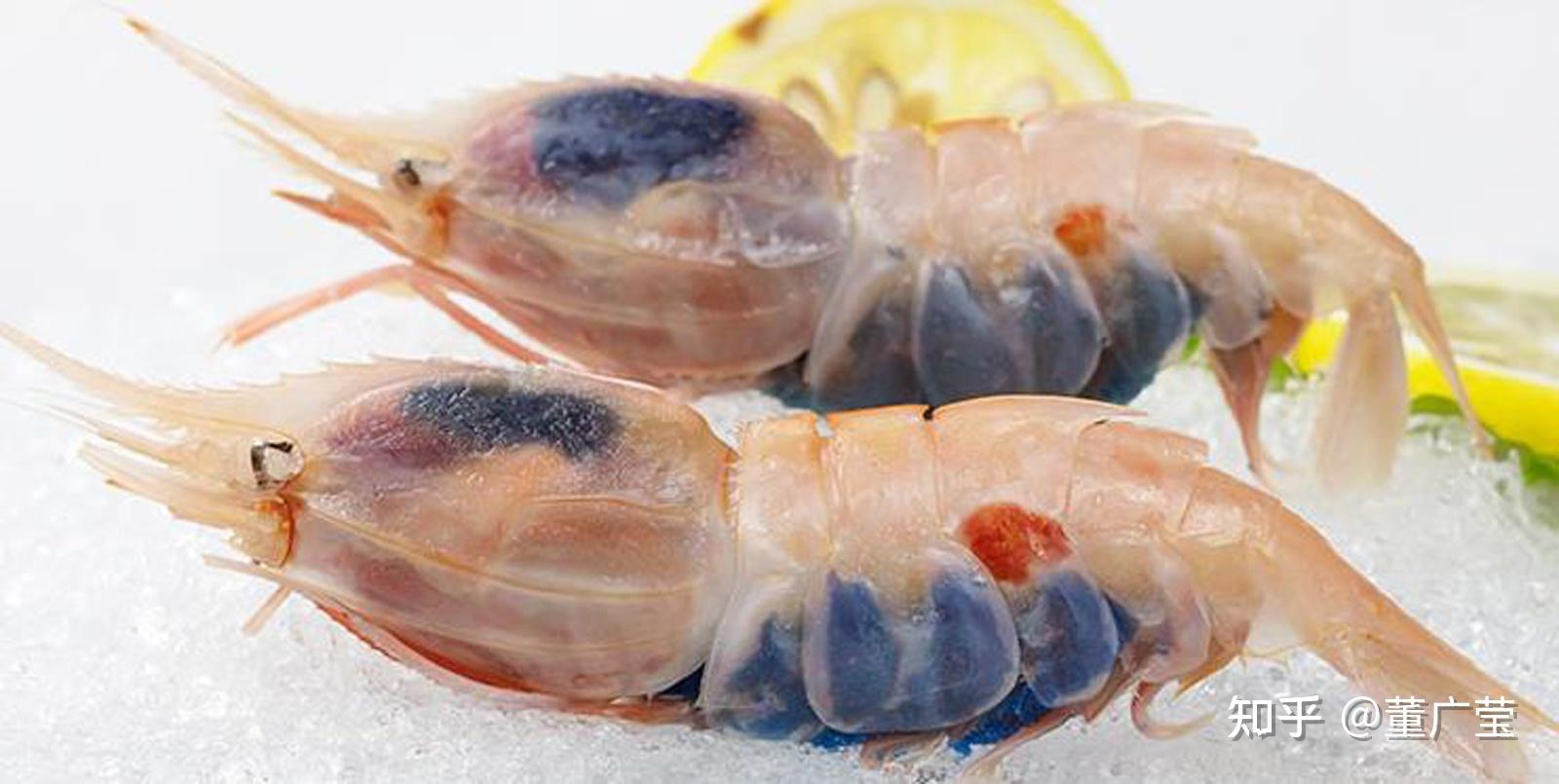 虾的种类有哪些？25种常见虾，河虾海虾哪种最好吃？你吃过哪几种？ - 知乎