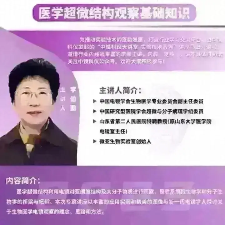 小号批发微信平台官网_vx小号批发网_微信小号批发平台