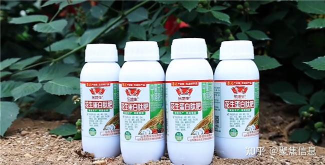 鲁花科技助力京郊果蔬提质增产 - 知乎