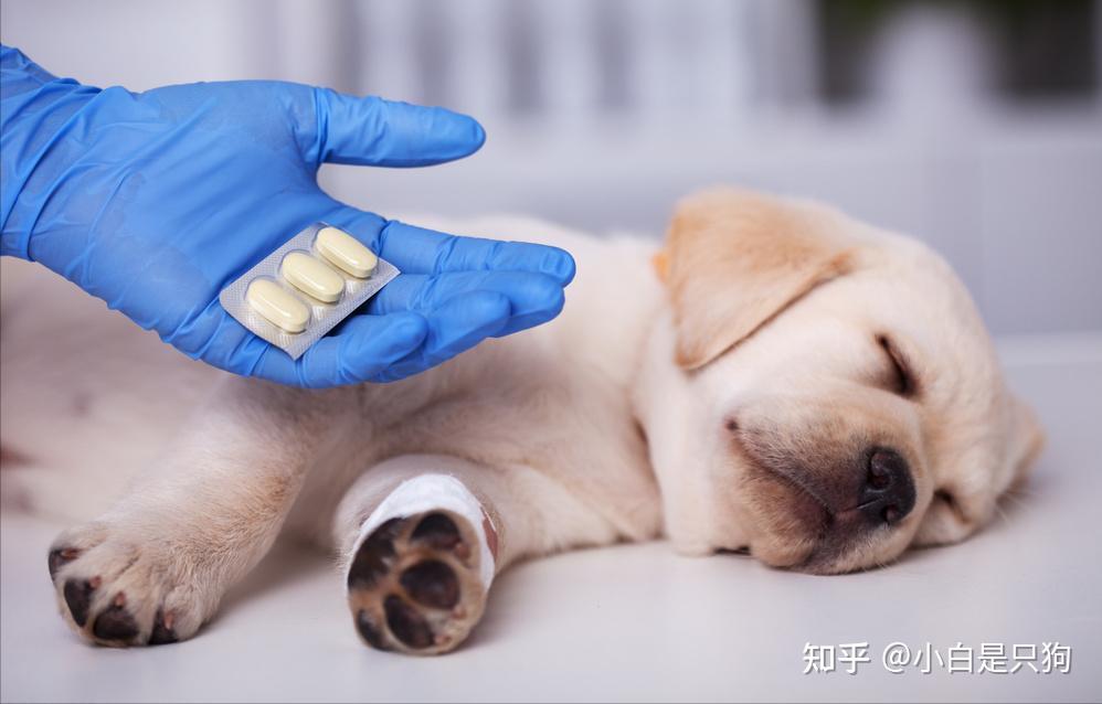 无非是这几个,你该知道了 - 知乎