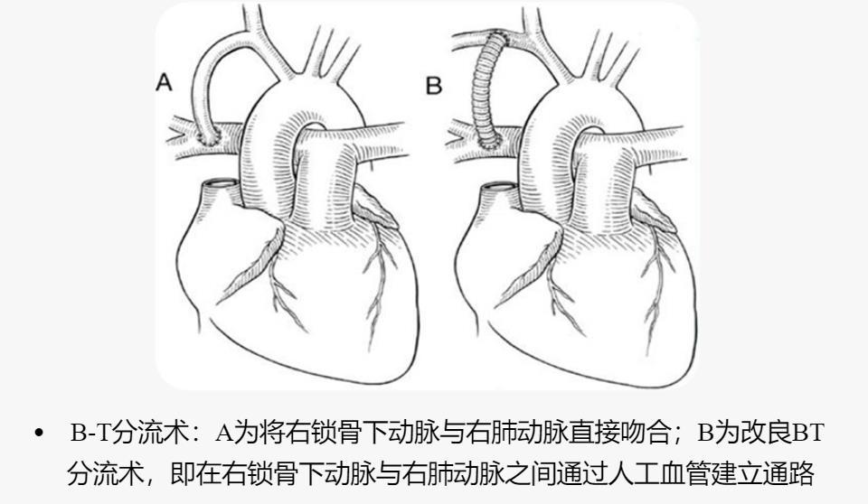 临床42外科的人文情怀五