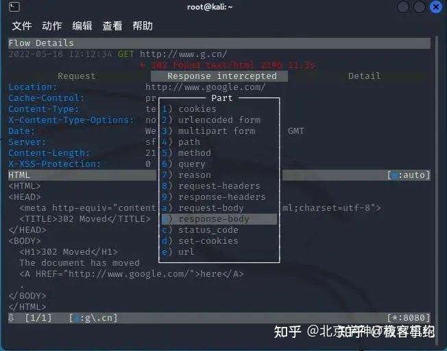 网络安全—使用kali mitmproxy进行HTTP 中间人攻击（MITM攻击）实验（原理，实践） - 知乎