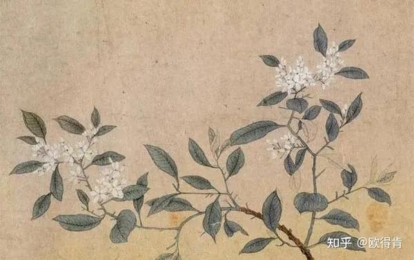 中国花鸟画技法——折枝 - 知乎