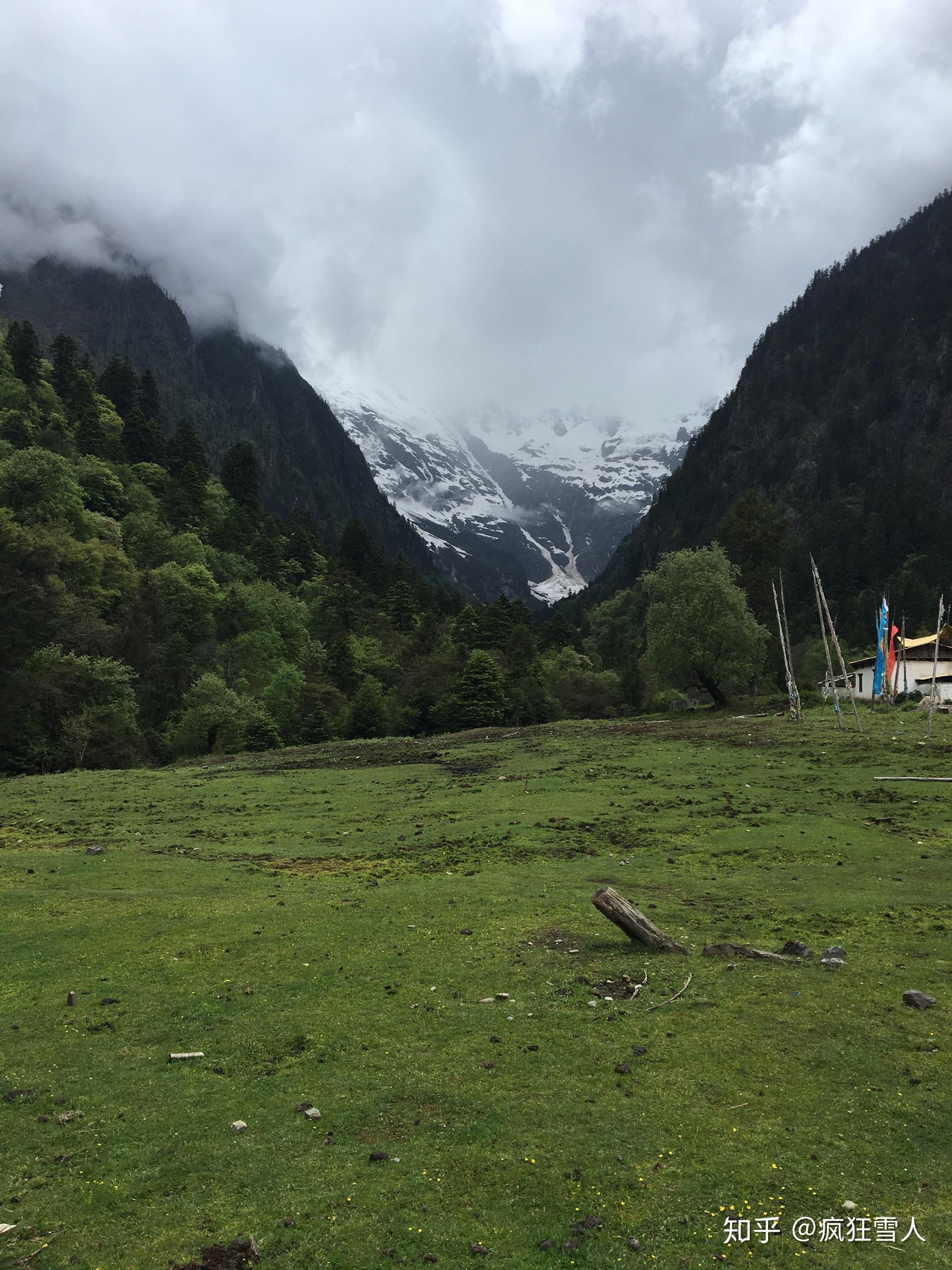 如何找到土蜂蜜销售渠道?