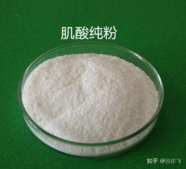 备战马拉松需要补充肌酸来提高成绩吗