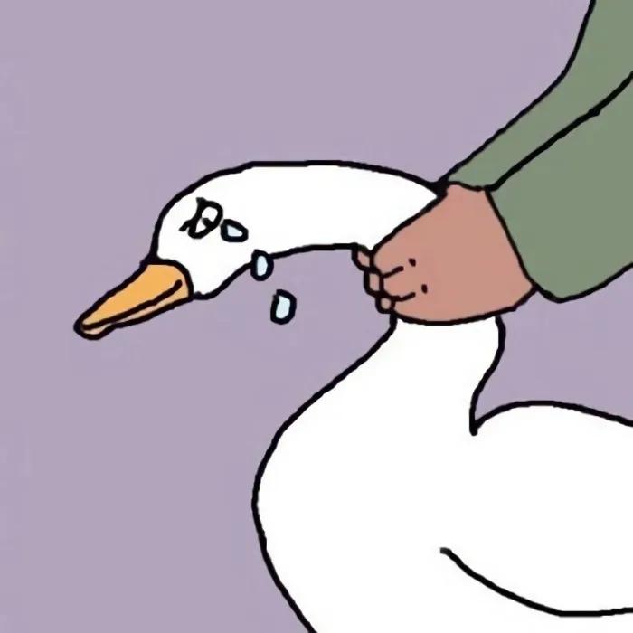 搞怪好玩的头像生活不易