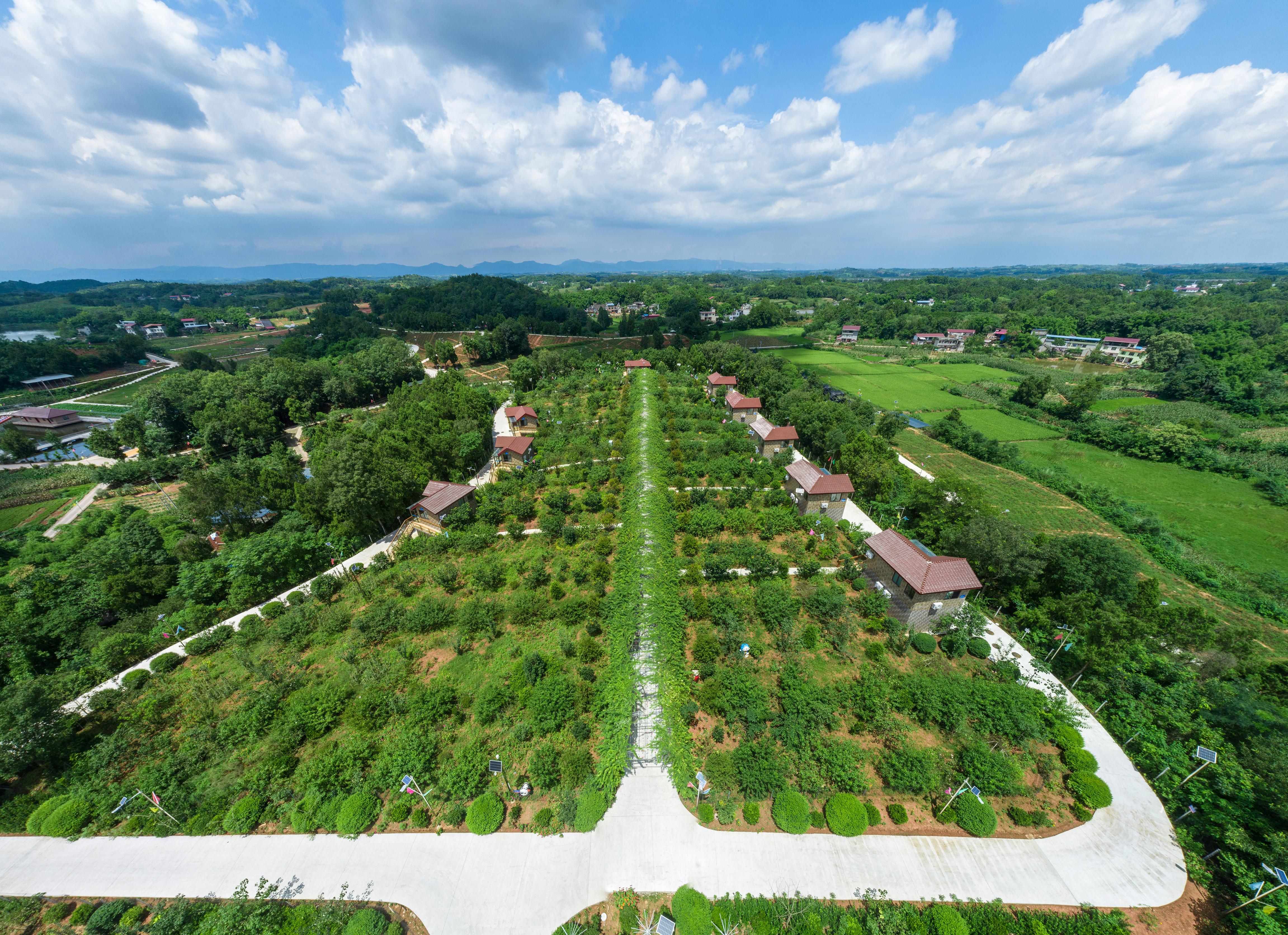 郊野田园诠释公园城市的乡村表达