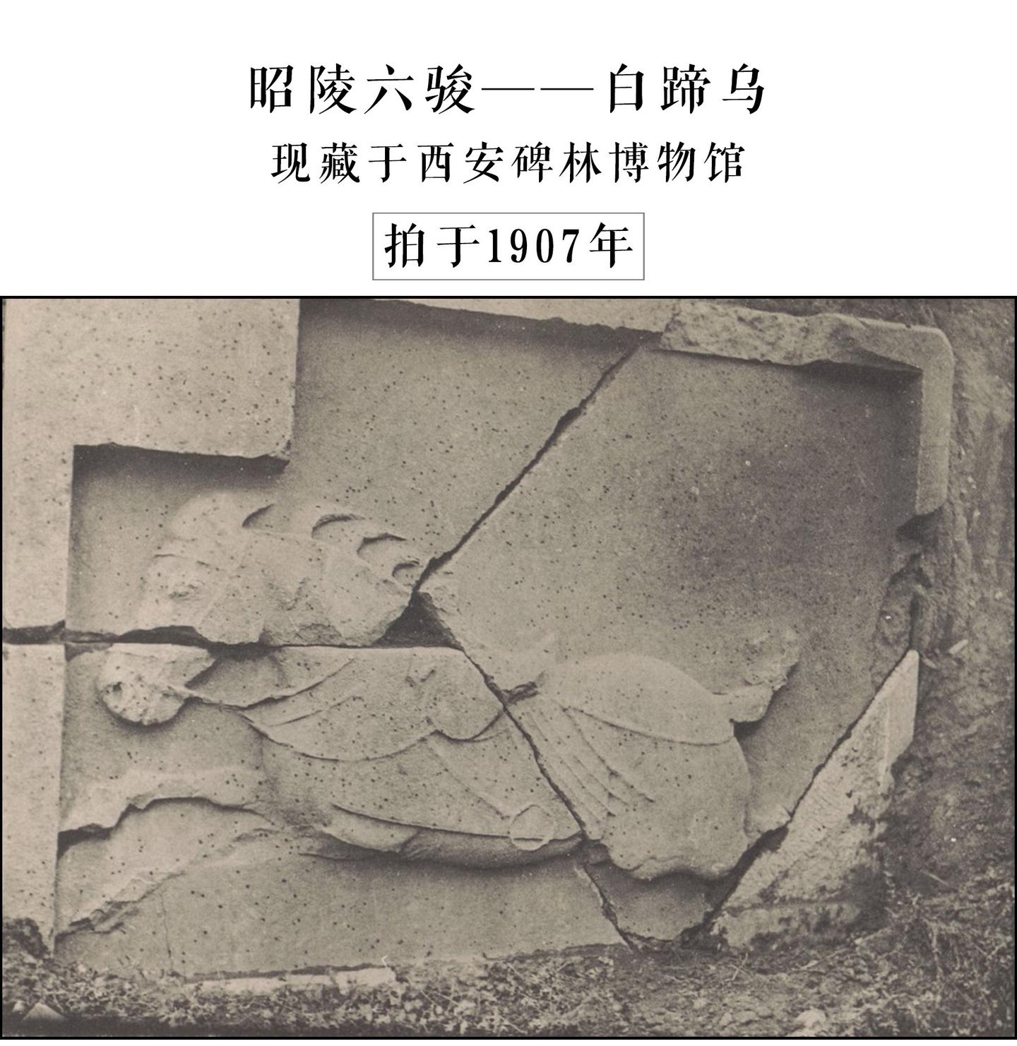 中国漢代画像石の研究 中古漢碑集成／金石拓本研究会 (編集)／角川 