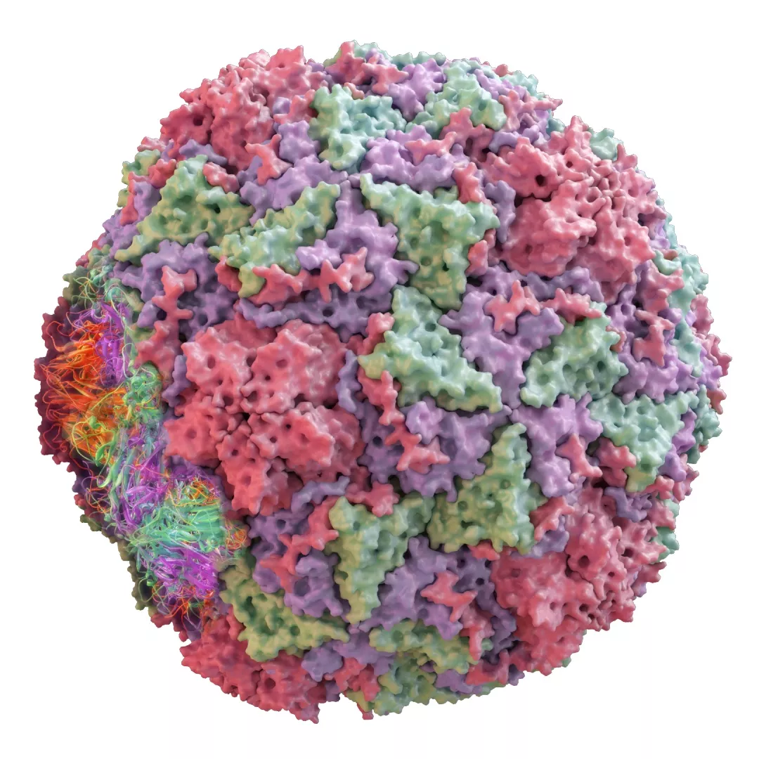 报道病毒简史人类对大自然的不知敬畏才是一切灾难的源头
